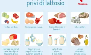 Formaggi stagionati come grana padano, parmigiano, emmenthal e gorgonzola sono naturalmente privi di lattosio.