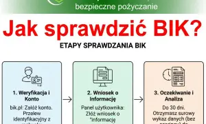 Jak sprawdzić BIK? Poradnik krok po kroku (za darmo lub 59 zł)