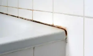 Angolo della doccia con muffa nera e ruggine. Scopri come pulire il nero della doccia per un bagno splendente.