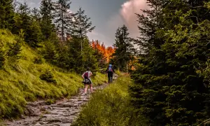 Zwei Wanderer genießen eine malerische Tour im Odenwald. Der steinige Pfad schlängelt sich durch dichte Wälder, während die Sonne die Baumwipfel in warmes Licht taucht.