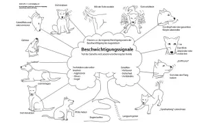 Hunde kommunizieren durch Beschwichtigungssignale wie Gähnen, Schnüffeln oder Sich-Schütteln. Ein cleverer prey hund nutzt diese, um Stress abzubauen.