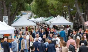 Folla animata al mercato di Porto San Giorgio, bancarelle colorate sotto gli alberi, un'atmosfera vivace tra venditori e visitatori.