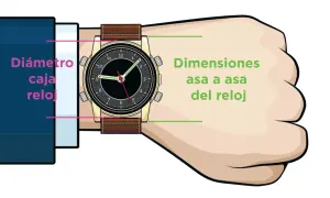 Ilustración muestra cómo se mide la caja de un reloj, indicando el diámetro y las dimensiones de asa a asa.