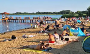 Plaża nad jeziorem powidzkim tętni życiem. Ludzie odpoczywają na piasku, kąpią się i spacerują po molo.
