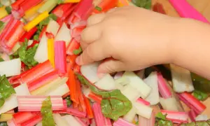 Kleine Hand greift nach bunter mangold baby Mischung. Bunte Stiele und Blätter liegen bereit zum Kochen.