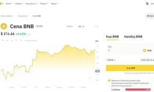 Najpopularniejsze kryptowaluty: które z nich przyniosą zyski?