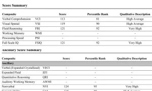 Resultat från WISC-V test för ett barn. Visar poäng för verbal förståelse, visuell spatial förmåga och fluid resonemang, med en total IQ på 121.