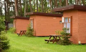 Drewniane wicie na wydmach, otoczone zielenią i sosnami. Idealne miejsce na wypoczynek.