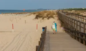 Spacerem po plaży, gdzie atrakcje grzybowo czekają na odkrycie. Drewniana kładka prowadzi do morza, a piasek lśni w słońcu.
