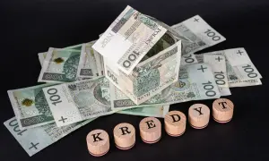 Dom z banknotów 100 zł symbolizuje kredyt hipoteczny. Drewniane pieczątki układają się w napis "KREDYT", sugerując potrzebę restrukturyzacji.