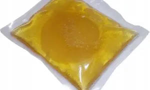 Gdzie kupić grzybek kombuchy? Sprawdzone miejsca i porady SCOBY