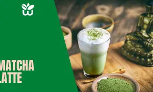 Matcha latte: Co to? Właściwości, przepis i jak zrobić idealną