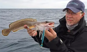 Ein Angler präsentiert stolz einen frisch gefangenen Lengfisch aus Norwegen. Der Fisch hat einen blauen Kunstköder im Maul.