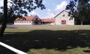 Stadniny koni arabskich w Polsce - historie, osiągnięcia i tradycje