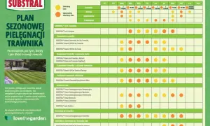 Kiedy ostatni raz nawozić trawnik? Plan pielęgnacji Substral podpowiada, kiedy najlepiej nawozić trawnik, usuwać chwasty i siać nasiona.