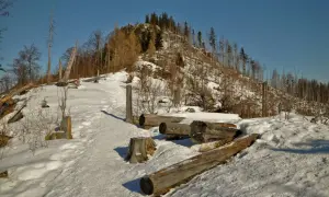 Śnieg pokrywa szlak na Nosalu, gdzie leżą powalone pnie drzew.