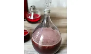 Fermentujący wino z ryżu przepis na 10 litrów w balonie z rurką fermentacyjną. W tle inne butelki z czerwonym płynem.