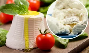 Świeża ricotta z oliwą i bazylią, obok pomidorki. W tle widać jej kremowy skład.