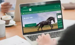 Strona internetowa Lloyds Bank z hasłem "By your side" i czarnym koniem. Dostępne opcje: Personal, Business, Private Banking.