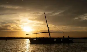 Un paseo en barca por la Albufera al atardecer, con el sol tiñendo el cielo de oro y las siluetas de los pasajeros reflejándose en el agua.