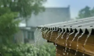 Tanie pokrycie dachu altany - wybierz najlepsze materiały i oszczędzaj