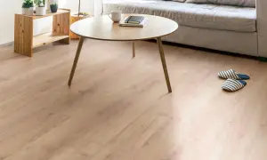 Un salón acogedor con un suelo laminado de madera clara, un sofá gris, mesa de centro de madera y plantas.