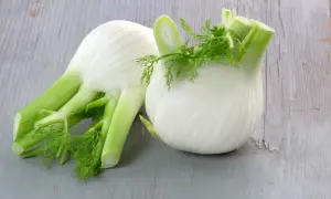 Welches Gewürz passt zu Fenchel? So schmeckt er am besten!