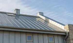 Nowoczesny dach z blachy, z widocznym kominem i oknem dachowym. Elewacja również pokryta jest blachą, co podkreśla estetykę malowania ocynku.