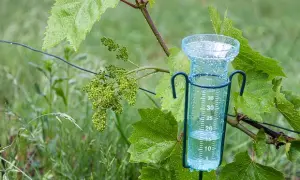Drugie życie butelki: Wiatromierz DIY krok po kroku