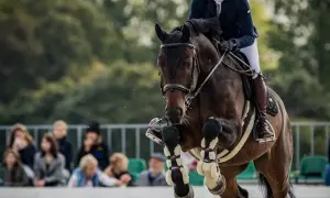 Skok konia podczas zawodów jeździeckich. Zastanawiasz się, ile kosztują konie tej klasy?