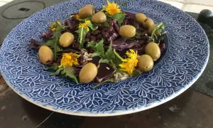 En blåmönstrad tallrik med en sallad av ris, svarta bönor, rödkål, oliver och maskrosblommor. Ett spännande maskros recept!