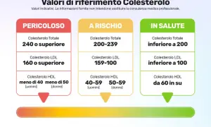 Valori di riferimento colesterolo: "Pericoloso" (240+ totale, 160+ LDL), "A Rischio" (200-239 totale, 159-100 LDL), "In Salute" (<200 totale, <100 LDL). Colesterolo 260 dopo 50 anni è pericoloso.