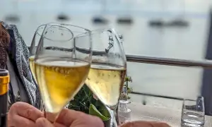 Sektgläser stoßen an, mit Blick auf den Bodensee. Ein schöner Moment, vielleicht nach einem Besuch beim Winzerverein Hagnau.
