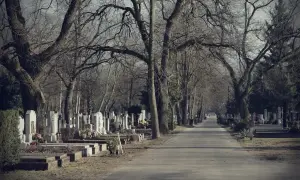 Aleja na cmentarzu z nagrobkami po bokach i drzewami bez liści.