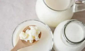 Maślanka i kefir w szklanych naczyniach. Na drewnianej łyżce ziarna kefirowe. Zdrowy napój na co dzień.