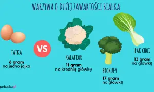 Warzywa o dużej zawartości białka: brokuły (17g/główkę), pak choi (13g/główkę), kalafior (11g/średnią główkę) vs jajka (6g/jajko).