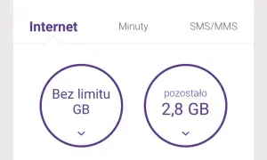 Ile internetu w roamingu? Sprawdź limity i ukryte koszty