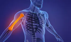 Omero del braccio umano evidenziato in arancione, parte dello scheletro trasparente su sfondo blu.