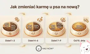 Grafika pokazuje, jak stopniowo wprowadzać nową karmę dla psa. Od 25% nowej karmy przez 50/50, aż do 100% nowej karmy.