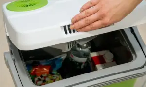 Jak wybrać lodówkę turystyczną, aby uniknąć rozczarowania?