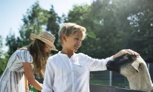 Agroturystyka czy warto? Sprawdź, jak zyskać na tym biznesie