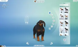 Wybieranie psa rasy rottweiler w The Sims 4. Jak adoptować psa w The Sims 4?