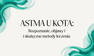 Astma u kota: rozpoznanie, objawy i skuteczne metody leczenia. Woda w akwarelowym stylu podkreśla delikatność tematu.