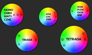 Koło barw z przykładami: monochromatyczne, analogowe, dopełniające, triada, tetrada.