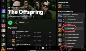 Ekran Spotify z zaznaczonymi opcjami "Usuń z kolejki" i "Udostępnij".