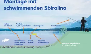 Montage mit schwimmenden Sbirolino: Haken, Vorfach, Gummiperle, 3-fach Wirbel, Köder und Sbirolino schwimmend am Forellenruten-System.