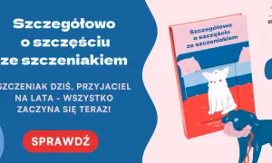 Jak wprowadzić szczeniaka do domu z dorosłym psem? Poradnik