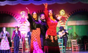 Artistas de flamenco en un escenario vibrante, con un guitarrista acompañando. Un cante de ida y vuelta lleno de pasión.