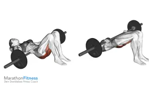 Frau hebt mit einer Langhantel das Gesäß an. Der Glute Bridge Barbell ist eine effektive Übung für starke Gesäßmuskeln.