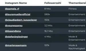 Liste mit der Anzahl Influencer Deutschland: Pamela Reif (8 Mio. Follower, Fitness), Laura Müller (590k, Entertainment) und weitere.